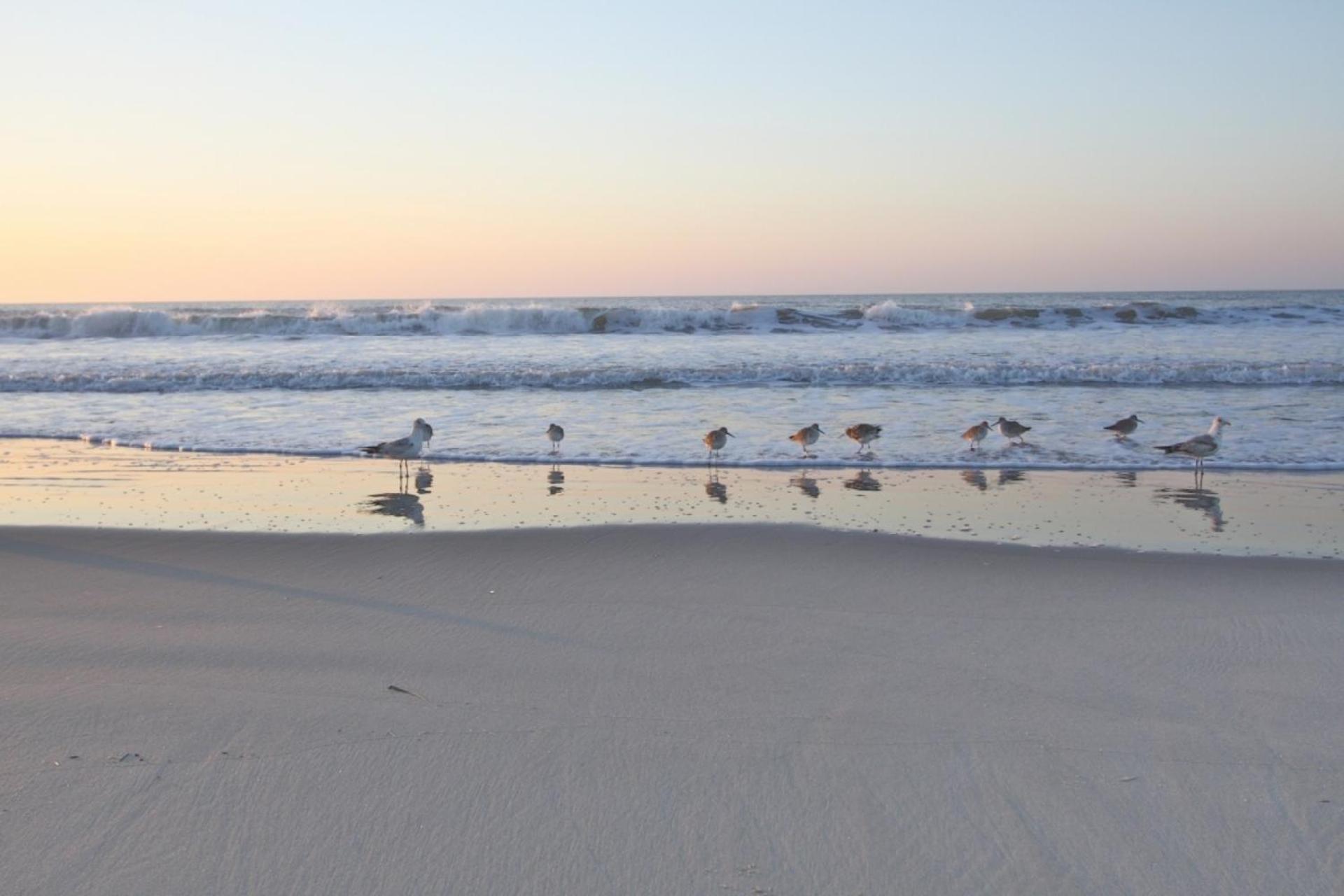 Just Beachy Villa Isle of Palms Kültér fotó